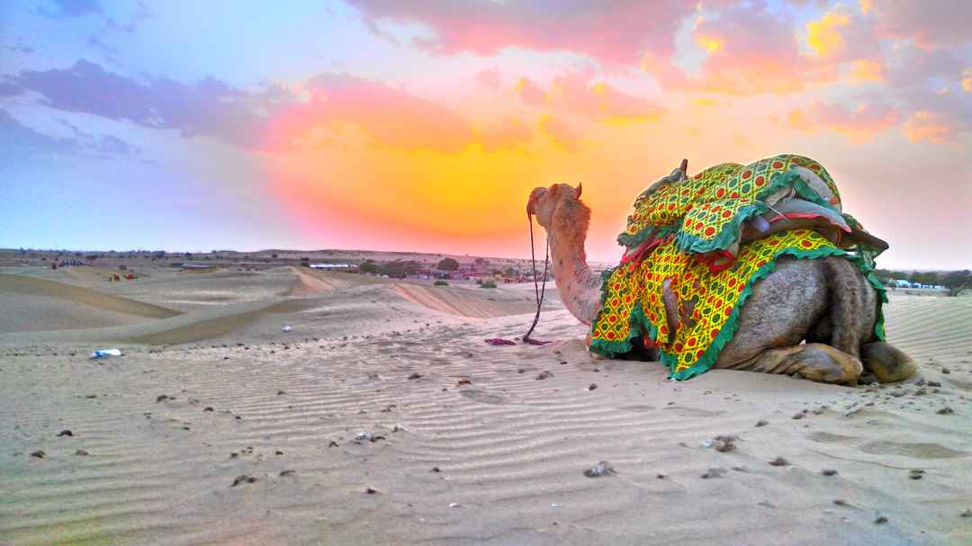Sam Sand Dunes